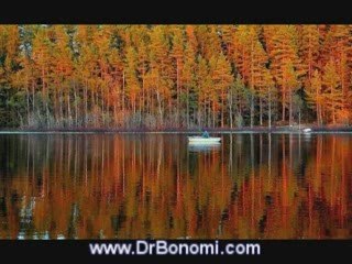 28 El Secreto - The Secret de Rhonda Byrne