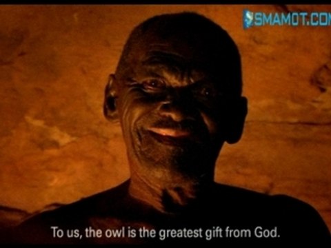 Meet the Smamot tribe and their AMAZING Owls!