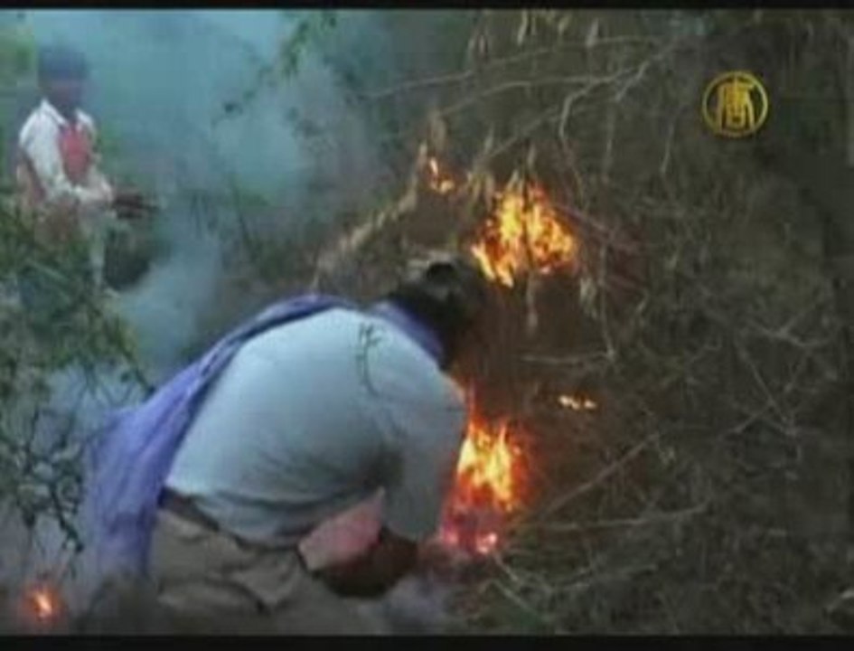 Northern India Forest Fire