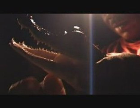 CHASSE AU CAÏMAN DANS LES MARAIS DE KAW