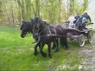 Hollandais a Montier en Der Suite