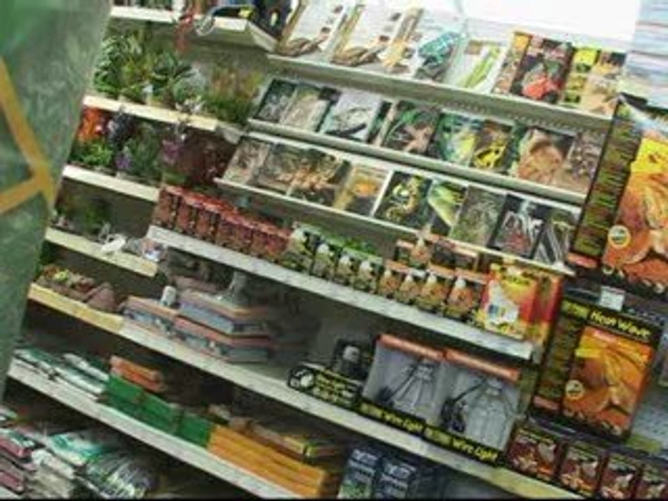 Baobab Béziers balaruc animalerie