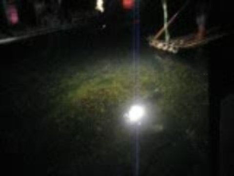 yangshuo chine pêche cormorans