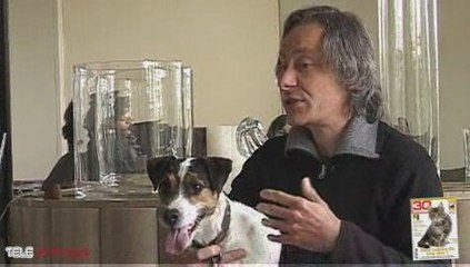 Chiens agressifs : à qui la faute ?