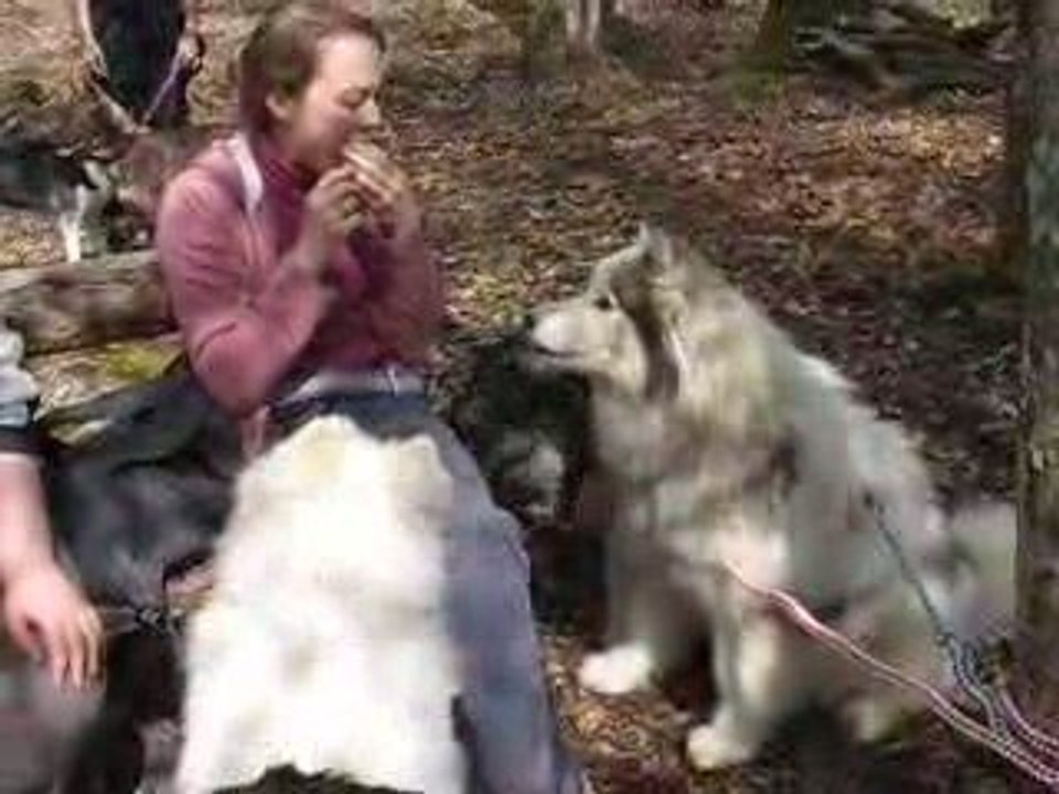 PIQUE NIQUE FORET DE MONTARGIS