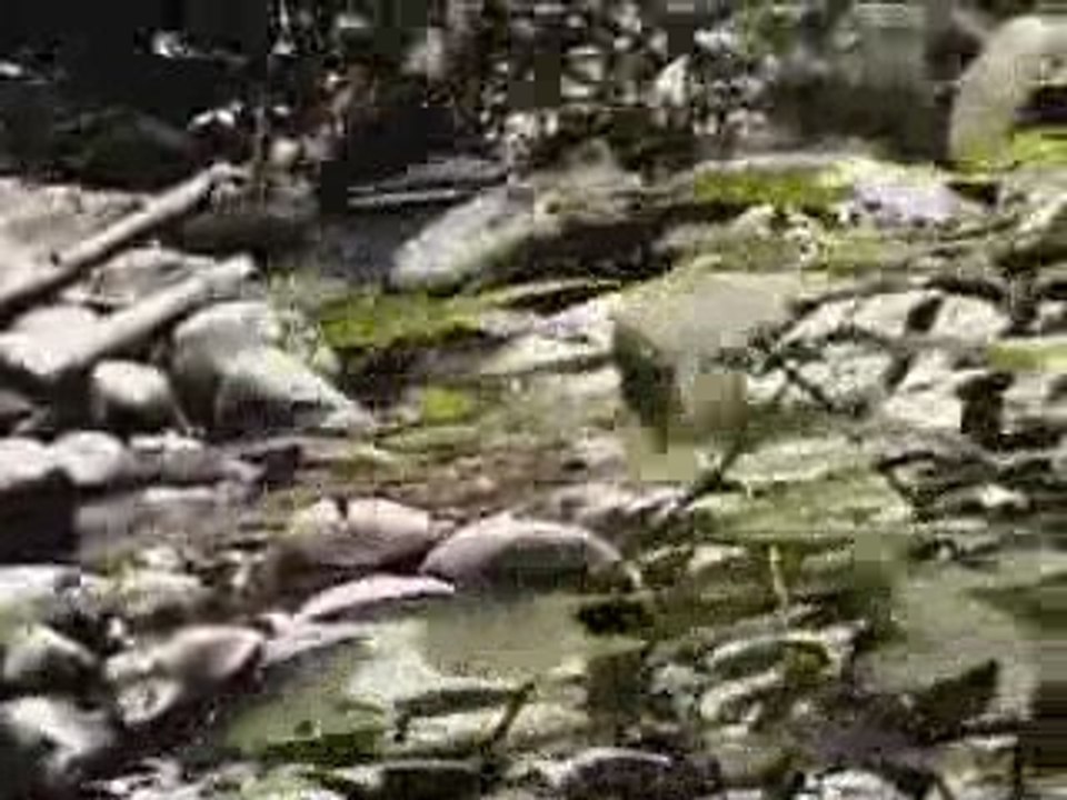 Before Judgment S01E02: Troy Part 1