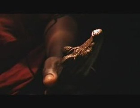 LES MARAIS DE KAW :LE BEBE CAÏMAN