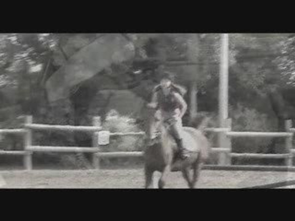 Goldorack, un cheval exceptionnel