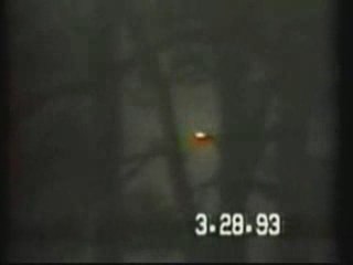 UFO - Gulf Breeze, Florida, March 28, 1993