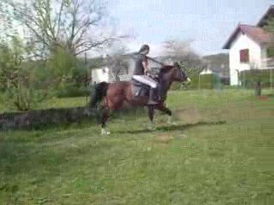Vadou en saut