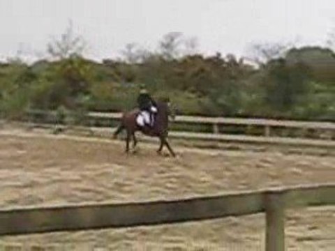 CSO Kerguélen Minou & Pirouette 1m10