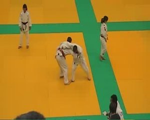 Harai goshi