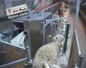 Robot stalle
