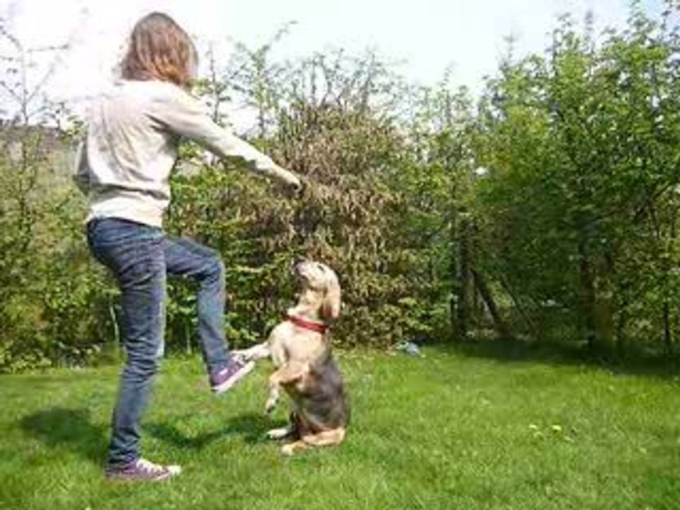 FREESTYLE AVEC KIM