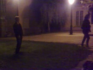 Les J.O du buisson .