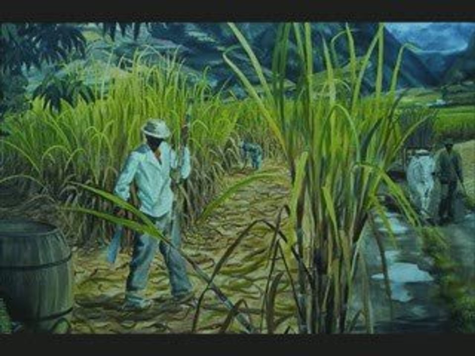 Blackshine Made in reunion island 974