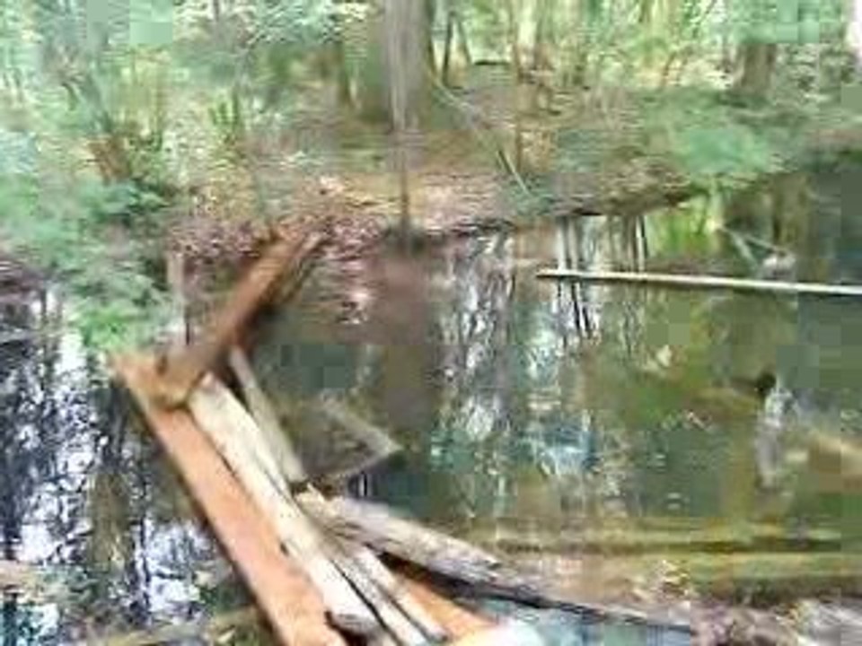 Pont 2
