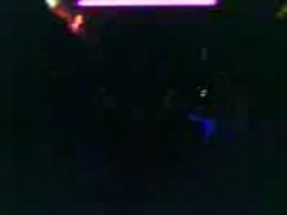 .Irlandais connemara