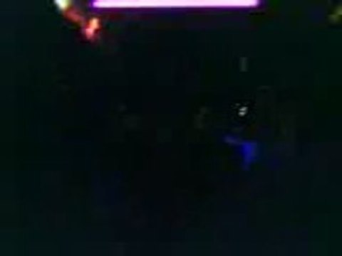 .Irlandais connemara