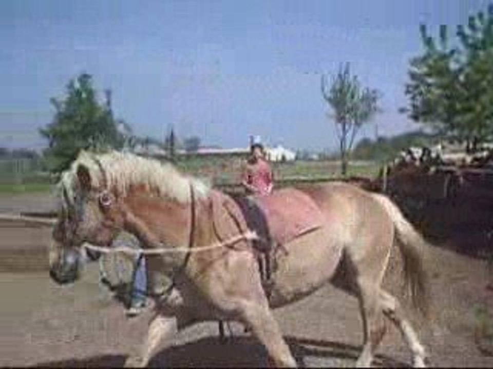 Mercredi 22 avril 09