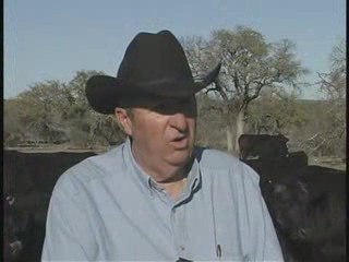 Texas Farms Face Drought Conditions in 2009