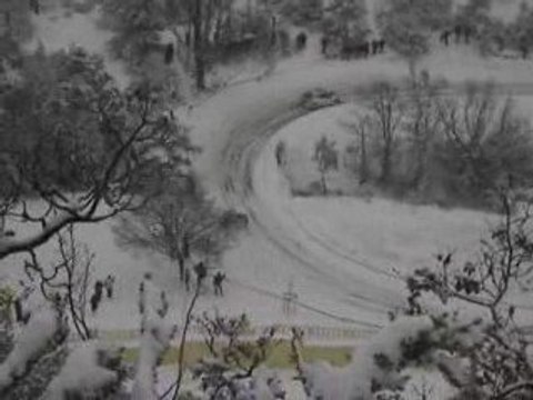 Monte Carlo irc 09 damien daumas