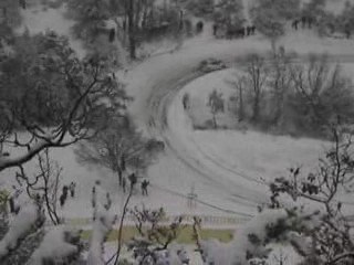 Monte Carlo irc 09 damien daumas