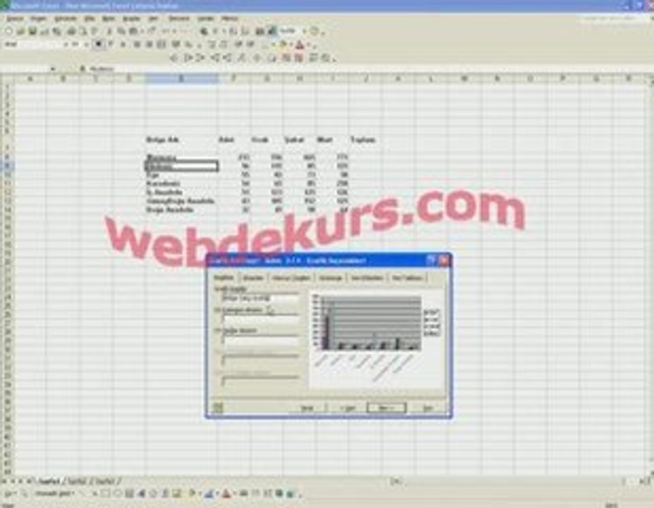 Excel grafikleri