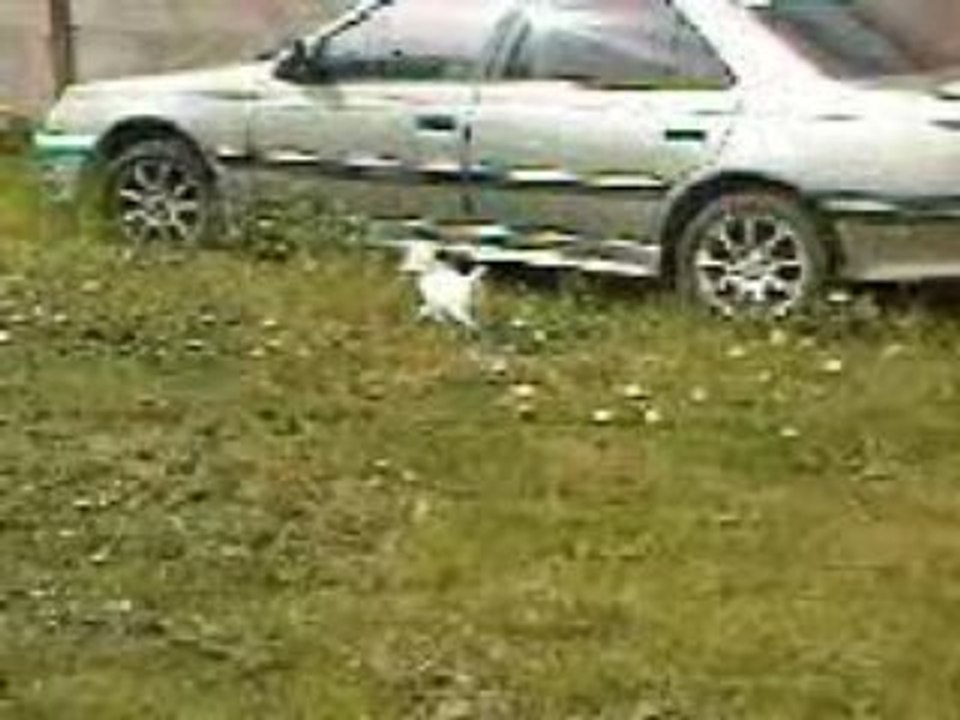 Vidéo0027