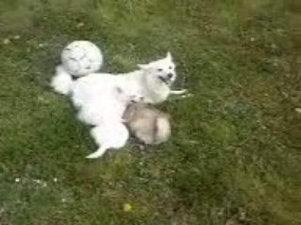 Vidéo0030