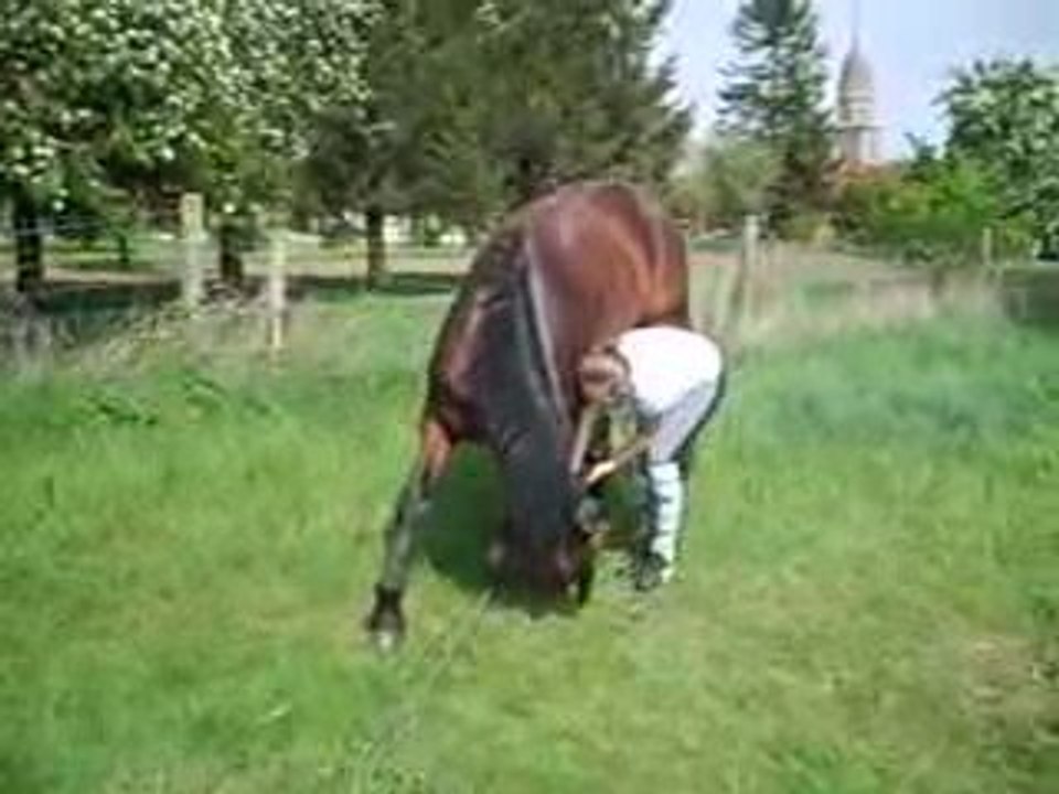 Quassou 038
