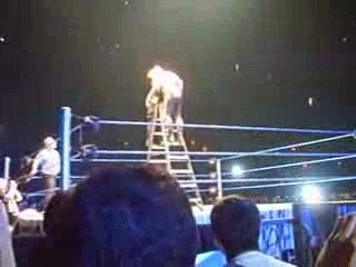 Jeff et Matt Hardy se cognent en haut de l'échelle 17/04/09