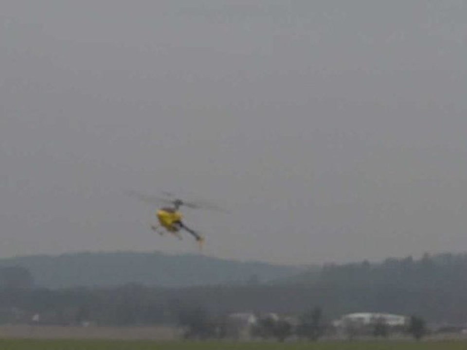 20090323_193 Rapi50 AR