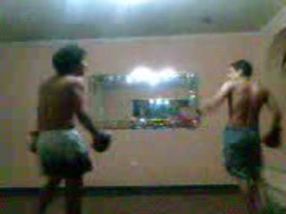 lobito fighter