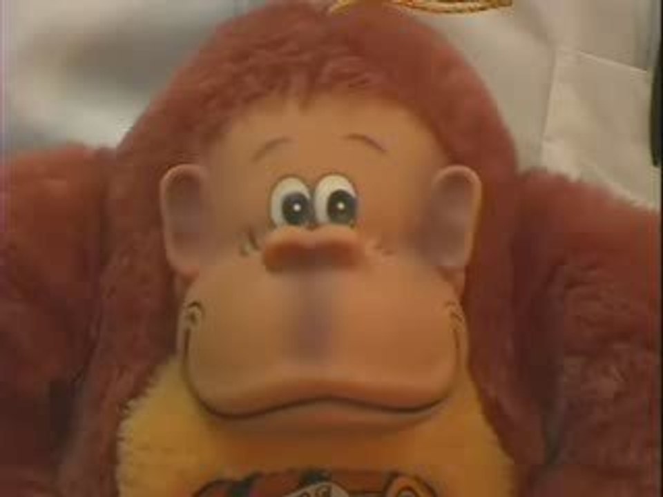 Funny Donkey Kong Stuff By The AVGN ;-)