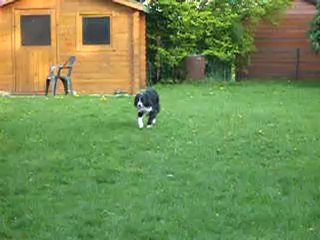 1 2 3 Soleil Fantoams 🕹️