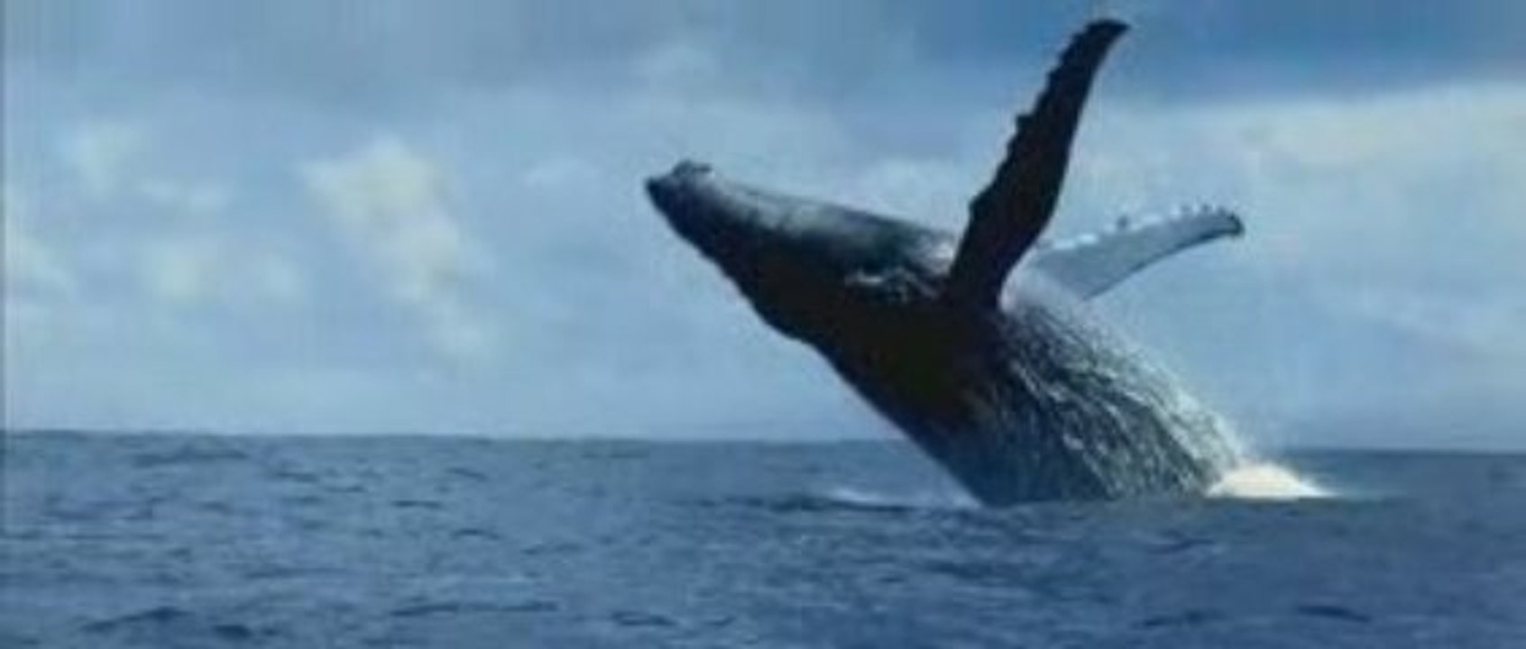 Ocean Bande annonce