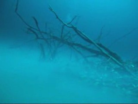 Angelita LES CENOTES