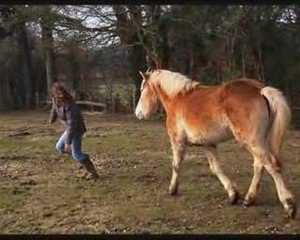 Morgane & shakiii by Eglantine