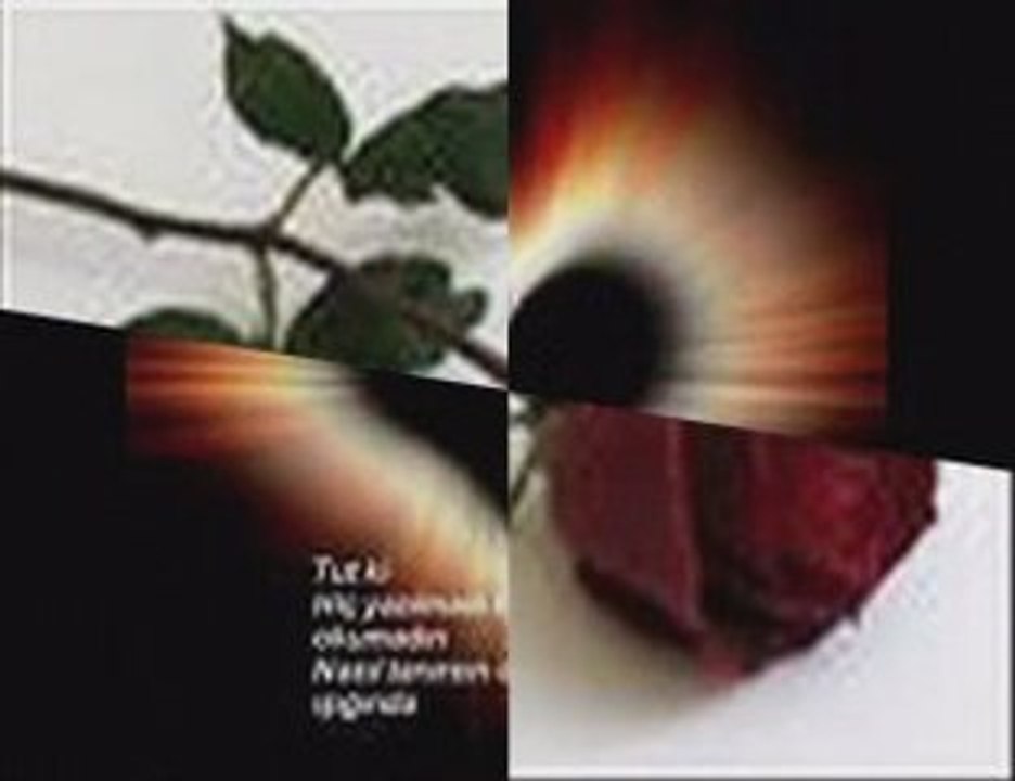 Ekrem Düzgünoglu-Sultanım