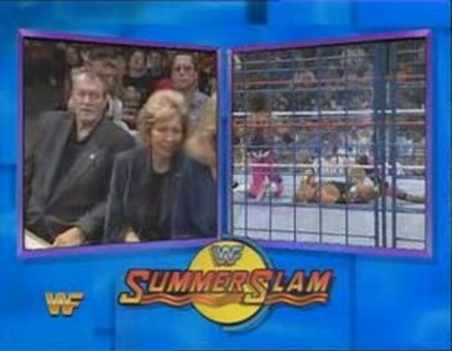 Bret Hart vs. Owen Hart, WWE Summerslam 1994, Part 2.