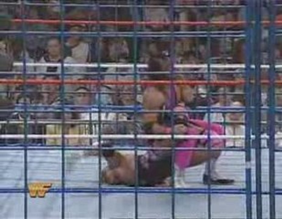 Bret Hart vs. Owen Hart, WWE Summerslam 1994, Part 4.