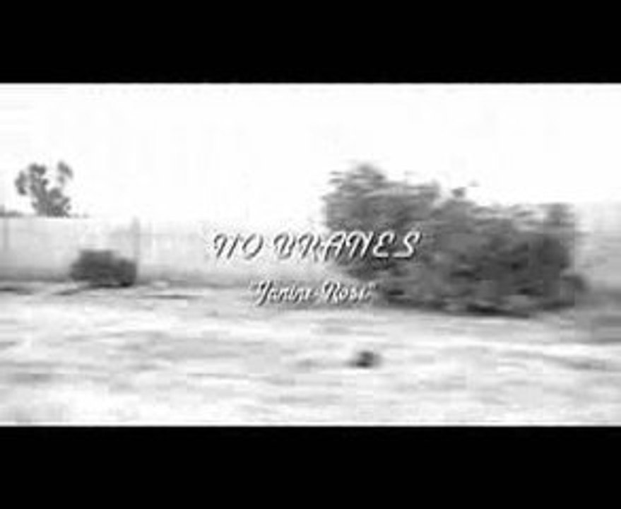 NO BRANES "Janine Rose"