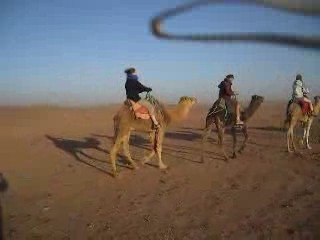 PROMENADES SUR DROMAIRES 1er Groupe Aller