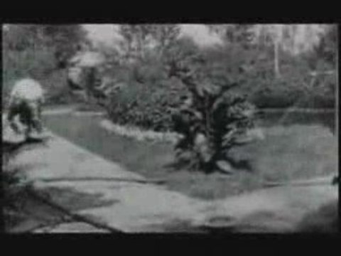 Les Frères Lumière - 1895 - L'arroseur Arrosé