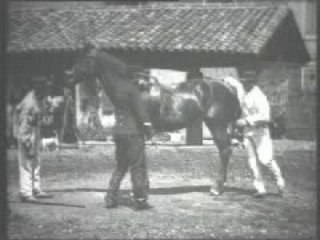 Les Frères Lumière - 1895 - La Voltige