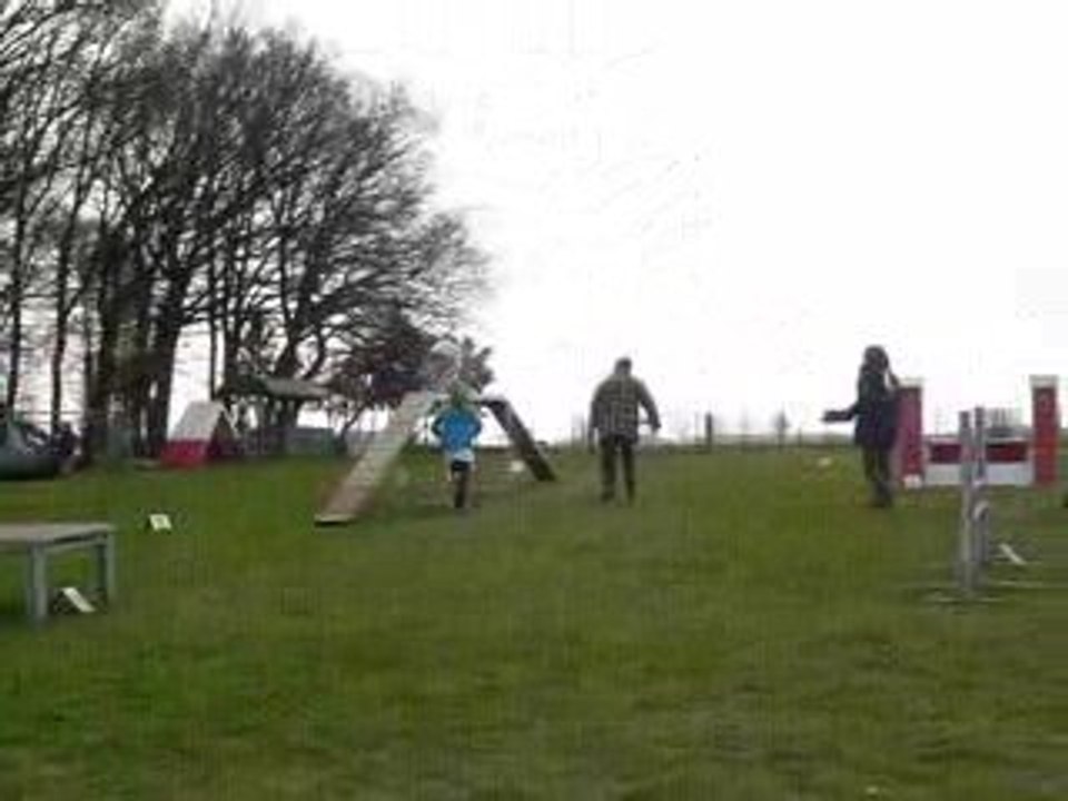 léa et koda berger australien agility