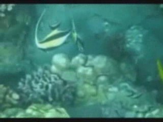 Guy Delalande & Christian Chassard - Les Eaux Primordiales