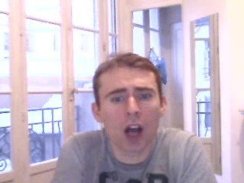 Wiwi égratigne Lemon tree