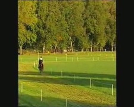 Kazan lion d'angers cross